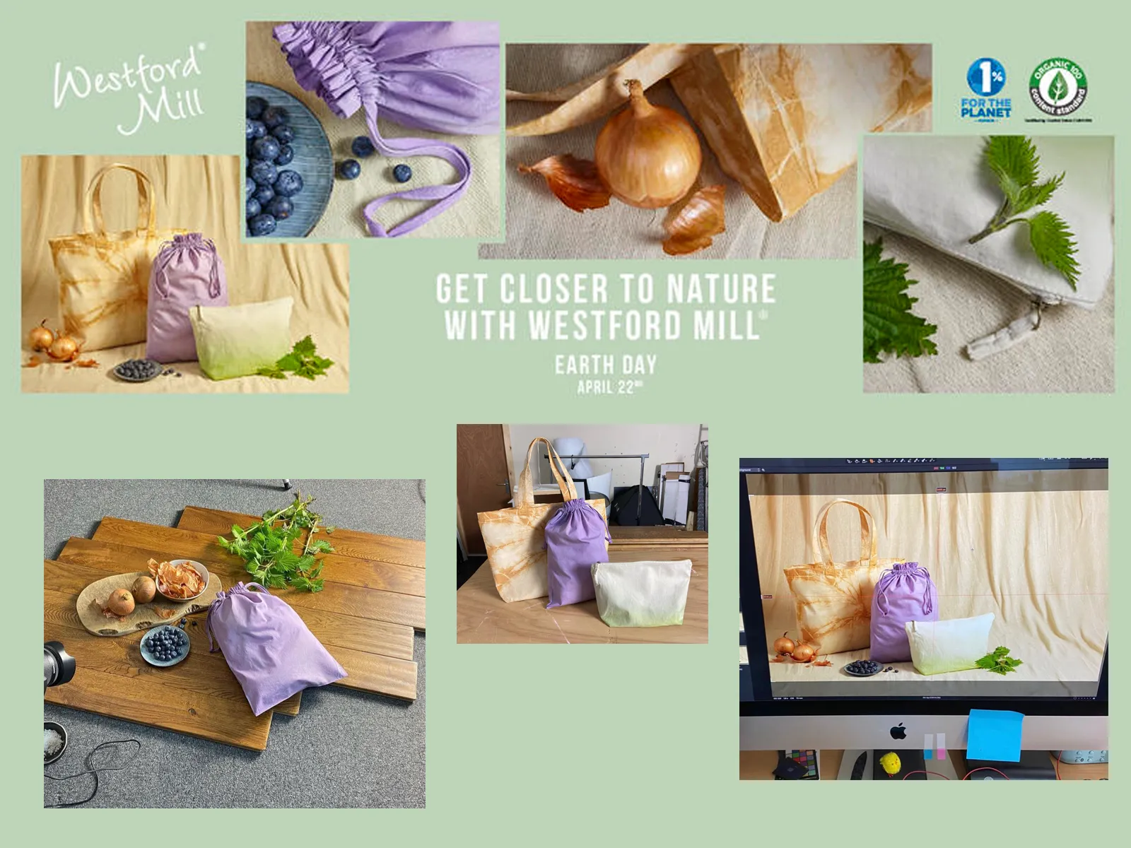 Westford Mill Natural Dye